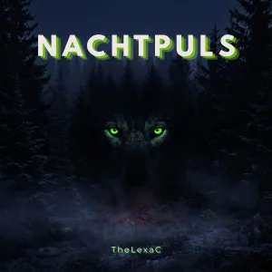 Nachtpuls